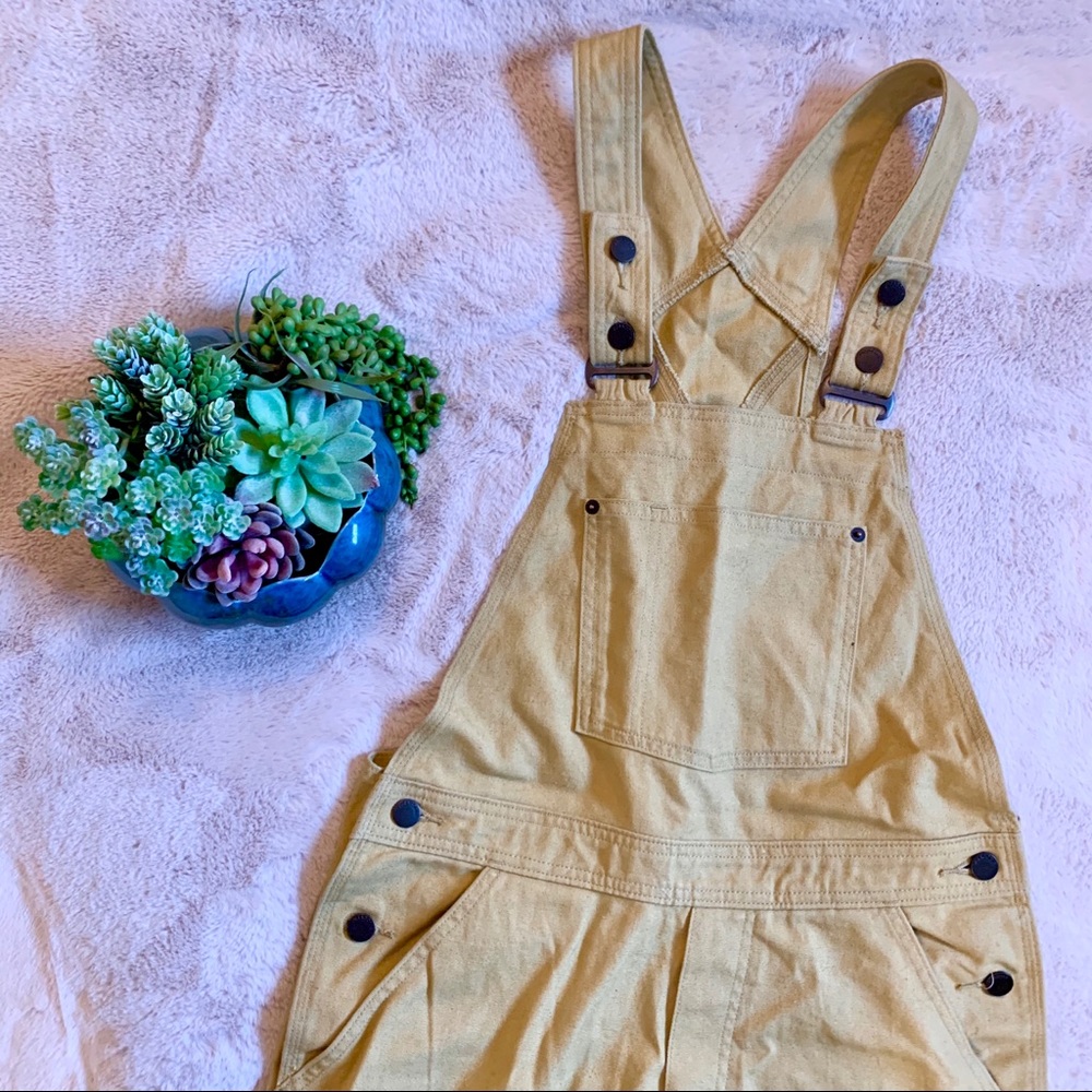 EUC Patagonia All Seasons Hemp Canvas Bib Overalls